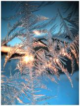 Skelleftea - Ice on Windows