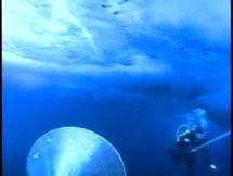 Arctic Ice - Diving Under It