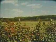 Eugene Sledge - Video Biography