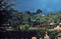 A TEACHER in YAMBUKU GETS SICK