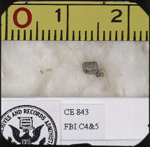 Bullet Fragments Removed from the President's Head