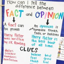 What Is the Difference between Facts and Opinions?