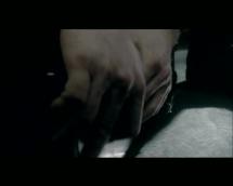 Final Solution - Corruption at Auschwitz