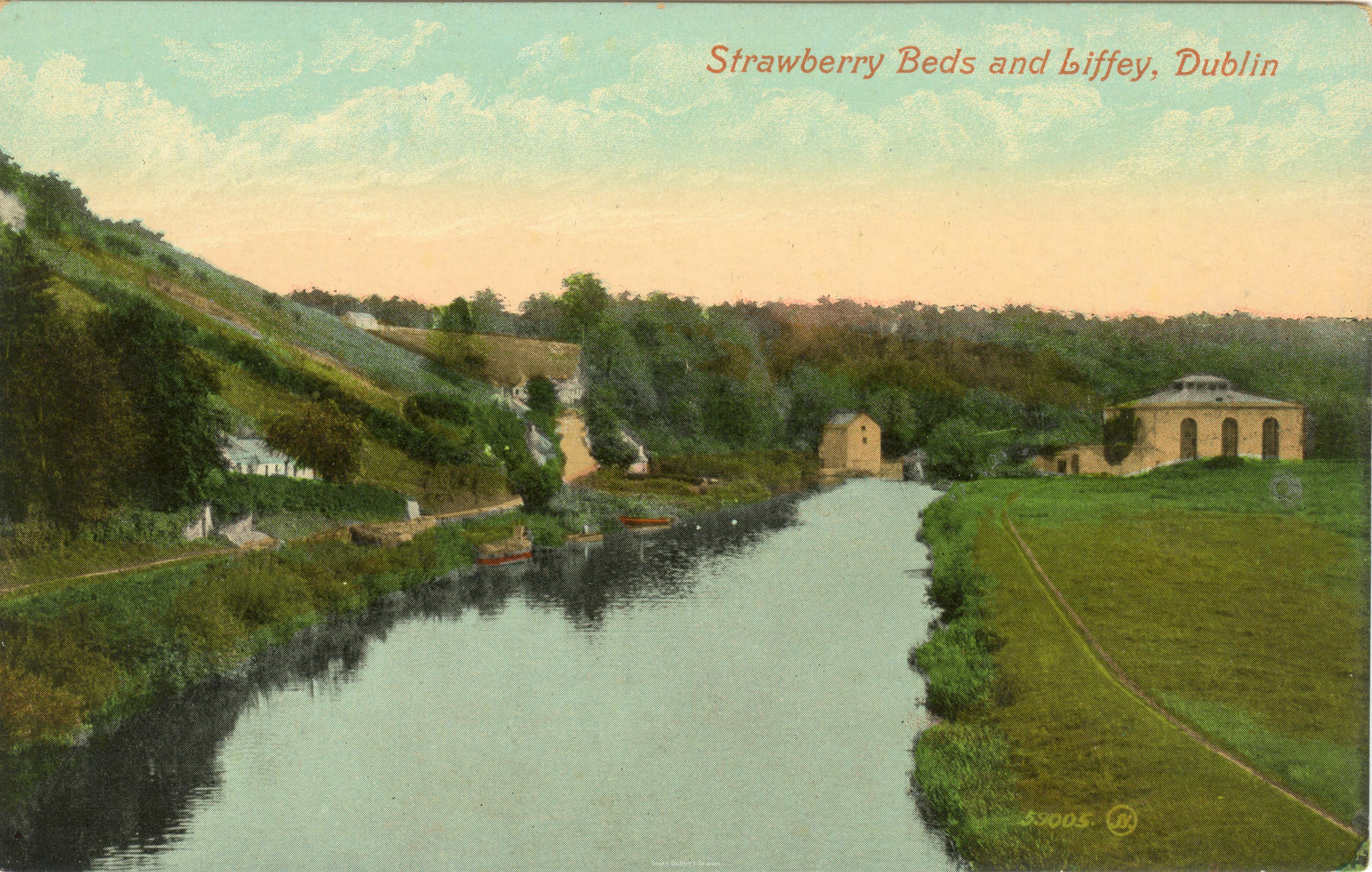 Strawberry Beds Dublin, Ireland