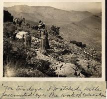 Pioneering Female Geologists