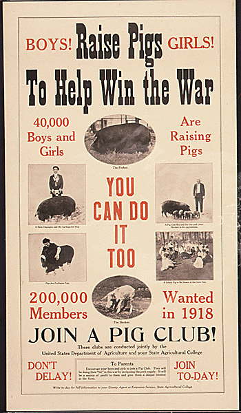 Recruitment Posters during WWI 9a08b67955