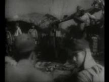 Battle of Peleliu - Japanese Defenses