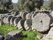 Pillars of the Great Temple of Zeus