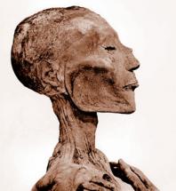 MUMMIES of PHARAOHS