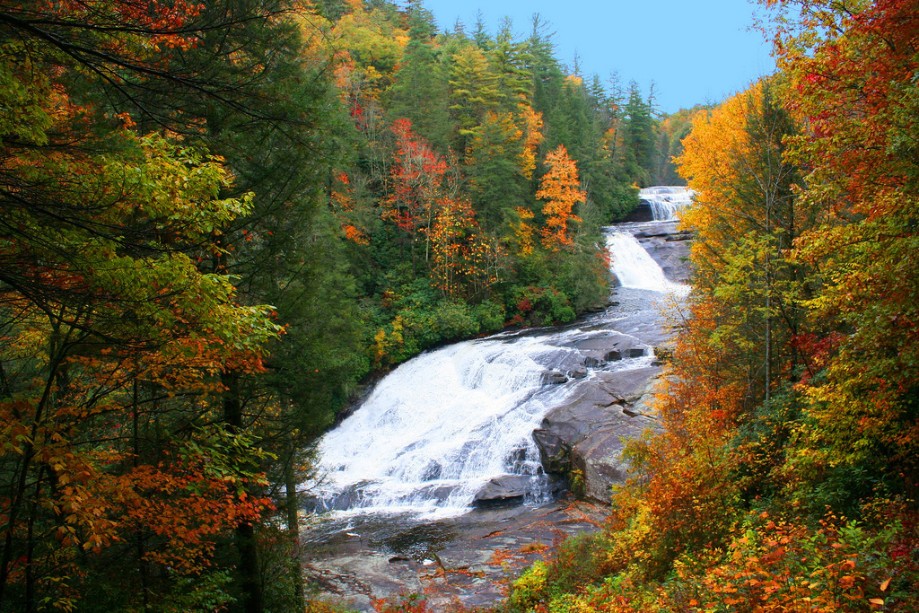 Transylvania County - Filming of The Hunger Games