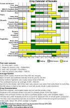 Somalia Crop Calendar
