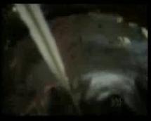 English Longbow - How It Works