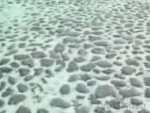 Dostoevsky - Facing the Firing Squad