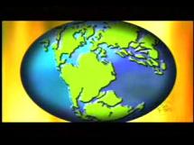 Fossils - Dinosaur Bones