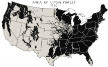 American Forests - 1620