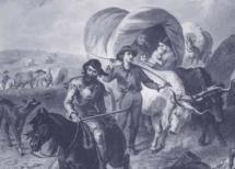 Oxen Pulling A Conestoga Wagon