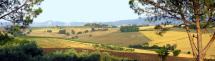 View of the Umbrian Countryside