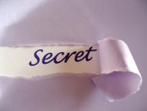How Do We Keep a Massive Plan Secret?