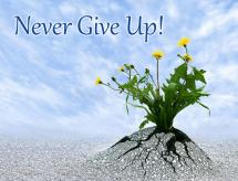 How Do We Know When to Persevere or Give Up?
