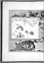 Spanish Armada - Difficult to Hold Formation