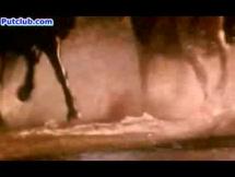 Genghis Khan - Early Years