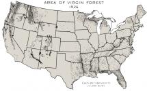 American Forests - 1926