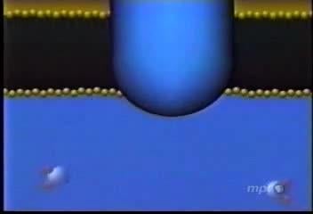 Photosynthesis Animation - The Biology of Plants Photosynthesis Animation - The Biology of Plants