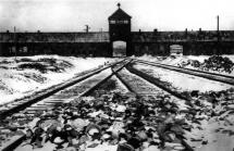 Auschwitz II - Camp Gate at Birkenau