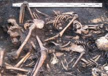 ARE THESE ROMANOV-FAMILY BONES?