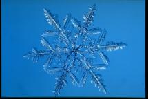 Snow - Detail of Snowflake