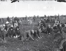 Children Finding Food for Soviet Authorities