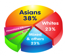 Hawaiian Racial Make Up