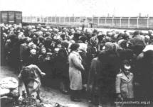 Auschwitz - Selection of Women and Children