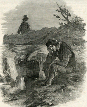 Potato Famine - What is a Scalp?