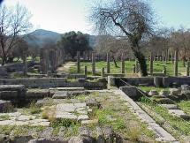 Ancient Olympics - Courtyard of the Palaestra