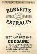 Burnett's Extracts - 1880