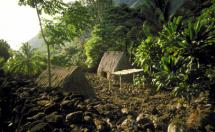 Ancient Heiau Hawaiian Temple