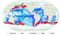 Whaling - Map Depicting the Offshore Grounds