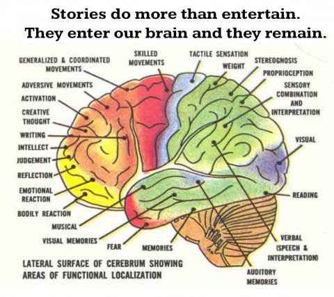 Lateral Brain Anatomy