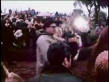 Secretariat and His Big Heart