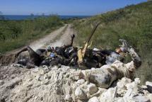 Earthquake Victims in Port-au-Prince