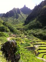 Limahuli Tropical Botanical Garden Kaua'i