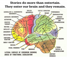 Brain Science