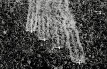 Spraying Agent Orange over Vietnam