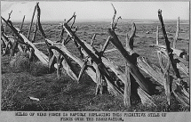 Primitive Fencing Used on a Navajo Reservation
