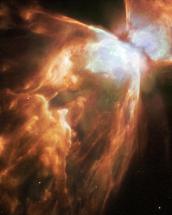 Billowing Bug Nebula