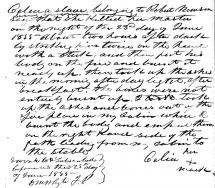 Confession of Celia, A Slave